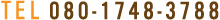 080-1748-3788